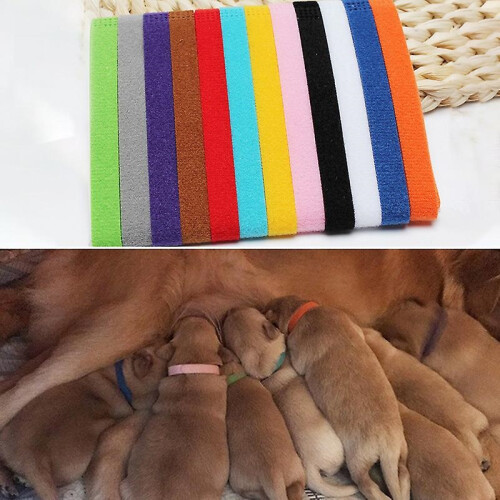 Pet Identification Collars 12-Pack – Adjustable Nylon Puppy Collars for Newborn Pets