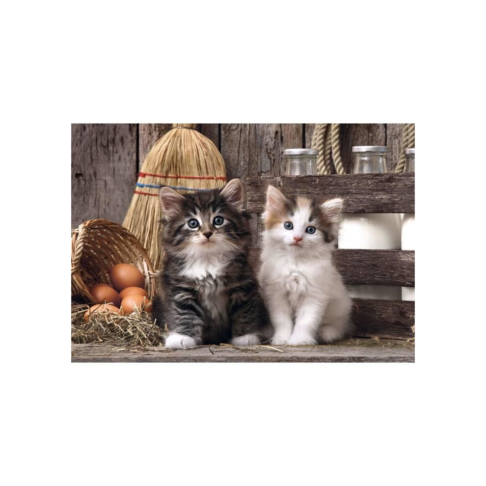 Clementoni Jigsaw Puzzle 1000 pieces, Collection Lovely Kittens, Compact box, Made in Italy, 39943 - Image 3