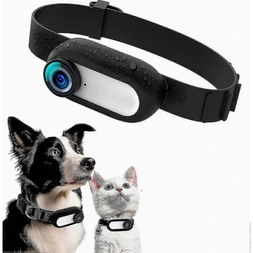 New HD 1080p Pet Tracking Collar with Video Recording Feature