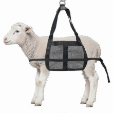 Wiegegurt für Nutztiere mit verstellbaren Gurten – Tragegeschirr für Kälber, Ziegen, Hunde und Schweine, Edition 0118_gmzs
