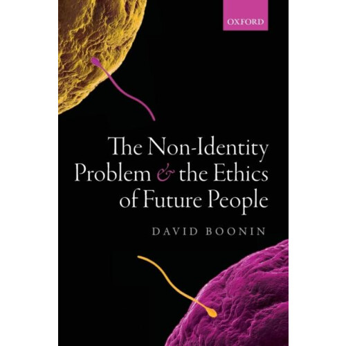NONIDENTITY PROBLEM P by BOONIN Paperback Book