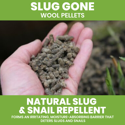 Vitax Vitax Slug Gone Natural Wool Slug Deterrent 10L 2
