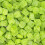 (2.6kg Sweet Jar) Sour Apple Cubes 1