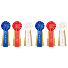 6 PCS Award Ribbons 1st 2nd 3rd, Award Ribbon Rosette Set, Satin Participation Place Winner Ribbons Awards