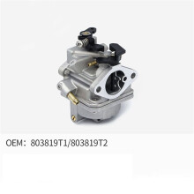 2X Outboard Motor Carburetor 803522T1 803522T2 804766T1 804766T2 879819A1 for 4stroke 6HP MFS6 NFS6