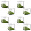 8X  Display Box Acrylic  Stand Transparent Display Box Square Display Box with Green Base 1