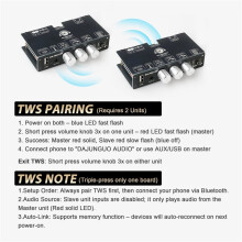 2X TW100U 100W Mono Amplifier Board, TPA3116D2 Digital Power Amp Module,Supports TWS-Wireless Pairing, 5.3