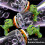 3X Fan Dinosaur Bubble Machine Bubbles in Bubble Handheld Electric Dinosaur Bubble Machine Green 5