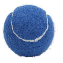 12 Stück Tennisbälle blau Übungsbälle mit Tasche