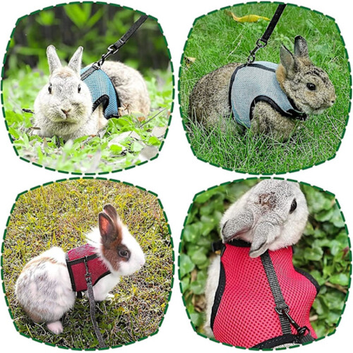Adjustable Rabbit Harness – 2-Piece Soft Vest with Elastic Leash for Small Animals 2