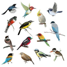 Colorful Flying Birds Wall Stickers – Removable Garden & Bedroom Wall Decals
