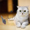 Plush Simulated Mouse Cat Toy – Hanging Interactive Teaser for Cage or Door 5
