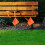 50 Pcs  Flags, for Construction Site Layout, Route Positioning, Landscaping, Pet Training, Landscape Flags, Etc 5