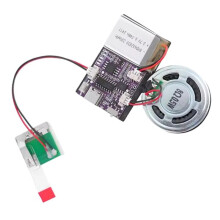 JX7004 Module Vocal MP3 de 16 Mo pour Cartes de Noël et D'Anniversaire, Jouets et Autres Musiques