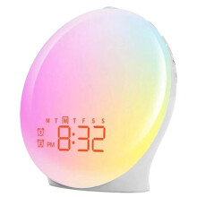 Wake  Light Sunrise Alarm Clock with Night Light, FM Radio, Natural Sounds for Heavy Sleepers