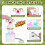 2pcs Cute Sheep Button Toys - Mechanical Keyboard  Tester & Light- Keychain Stress Relief 5