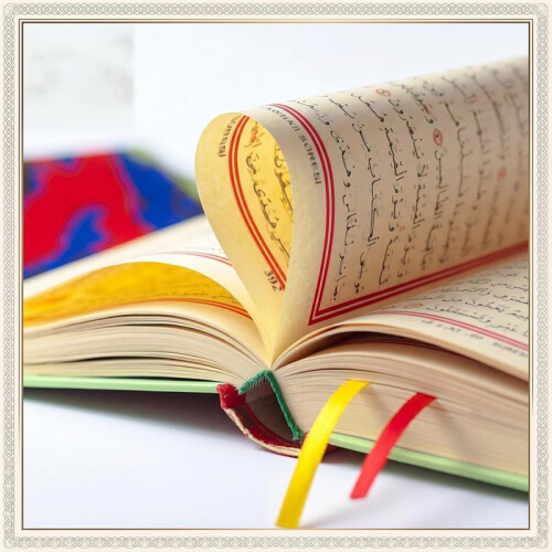Complete Bookbinding Tool Kit, Including Bookbinding Cloth, Binding Tape, and Colored Ribbons-for DIY Crafting 1