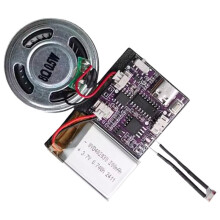 Module Vocal MP3 pour L'Enregistrement de Cartes de Vœux, Musique et Mouvements, Module Vocal pour Noël et Anniversaire, Module Audio de Type C