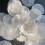 100pcs Round SliceCapiz Shell Bead 2 Inch Flat Round Shell Pieces 2 Hole Seashell Connector Charms for DIY Wind Chimes 2