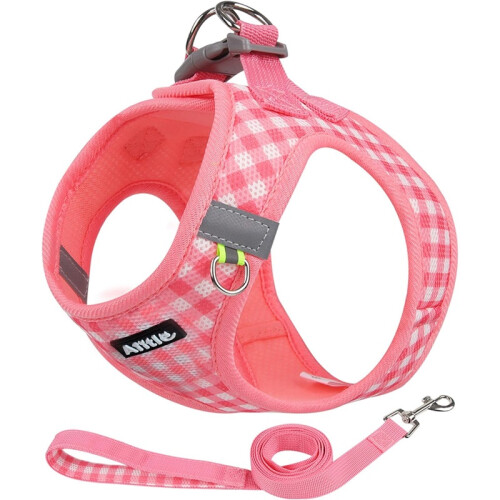 No-Pull Dog Harness & Leash Set – Breathable Reflective Mesh Harness, Watermelon L