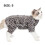 Postoperative Recovery Coat for Pets – Comfortable Protective Wear (S) 2