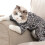 Postoperative Recovery Coat for Pets – Comfortable Protective Wear (S) 5