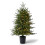 3FT Pre-Lit Artificial Christmas Tree W/ 100 Branch Tips, Black Round Pot Base, Battery Operated 1
