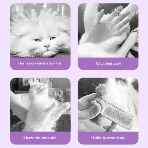 (White) Brosse à poils de chat imperméable violette, adaptée à toutes les races 2
