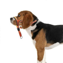 (orange, XL) Collare imbottito regolabile per cani, anti-trazione, strumento di addestramento per passeggiate, adatto a tutte le taglie.