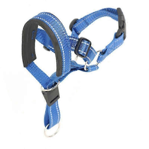 (blue, XL) Padded Adjustable Dog Headcollar No Pull Training Tool for Walks Fits All Sizes 1