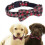 (S) Festive Christmas Red Snowflake Bow Tie Dog Collar Adjustable 4 Sizes 4