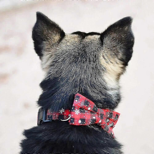 (S) Festive Christmas Red Snowflake Bow Tie Dog Collar Adjustable 4 Sizes 2