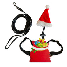 (Traction rope and Ch) Escape Proof Lizard Walking Hat with Safety Strap Festive Multicolor for Reptile Owners