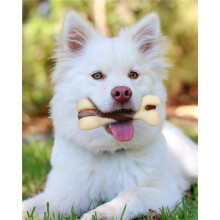 Durable Dog Bone Chew Toy – Beef-Flavor Nylon Bone for Aggressive Chewers, 13cm