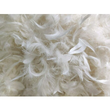 Goose Feathers Feather Down Loose Feathers Filling for Pillows or Duvets 90% Goose Feather 10% Goose Down Pillow Filling