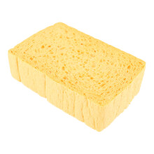 Bosch Steamer Sponge