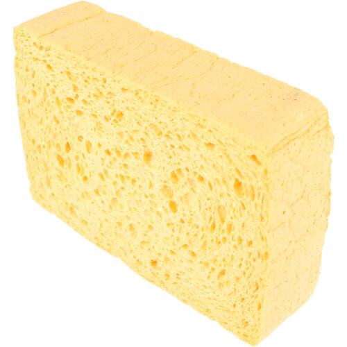 Bosch Steamer Sponge 2