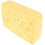 Bosch Steamer Sponge 2