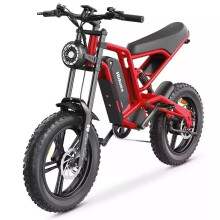 Hidoes B6 20" Fat Tyre eBike Mountain Bike 120OWatts 15.6Ah Battery UK Stock