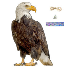 Outdoor Bird Repellent Devices, Realistic Eagle with Small Bell, Pigeon Repellent for Patio, Garden, Outdoor Use