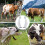 Cow Horn Protection 1 Pair AntiFight Breathable Large 4