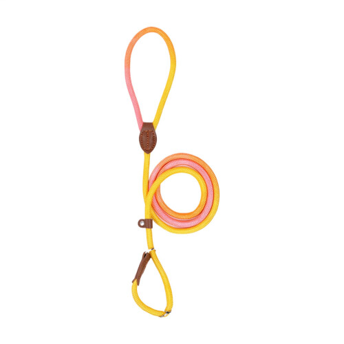 Outdoor Dog Harness  No Pull Nylon Leash for Small Medium Dogs