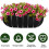 (Black, 30*7.9ins) 3 Pack Hanging Planter Liner Replacement Fabric Grow Bags Window Box Liners Black 3