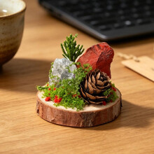 (2) Natural Crystal Raw Stone Micro Landscape Ornament with Preserved Moss & Wooden Base, Crystal Cluster Desk Decor