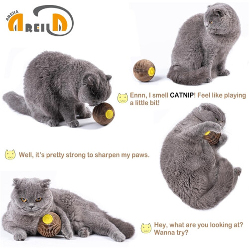 Refillable Catnip Scratch Ball – Interactive Play Toy to Keep Kittens Active 1