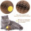 Refillable Catnip Scratch Ball – Interactive Play Toy to Keep Kittens Active 5