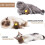 Refillable Catnip Scratch Ball – Interactive Play Toy to Keep Kittens Active 3
