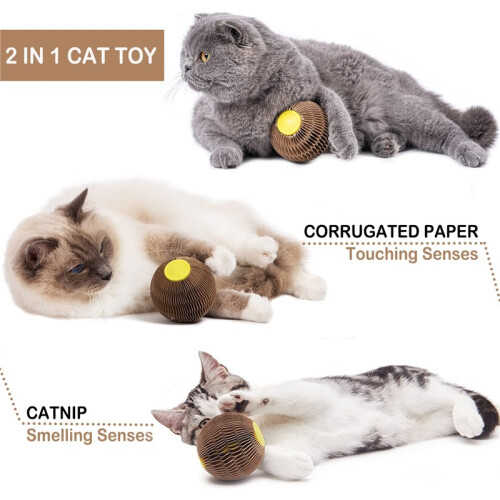 Refillable Catnip Scratch Ball – Interactive Play Toy to Keep Kittens Active 2