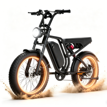 20" Electric Bike 52V 20Ah Mountain E-bike 250W
