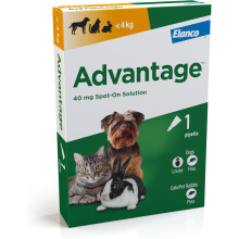 (Small Dogs (0-4kg)) Advantage Spot On Flea Treatment For Cats, Dogs and Rabbits, Kills Fleas Within 24 Hours, 1 pipette